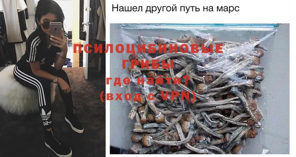 молекула духа Алексин