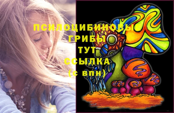 соль курить ск Алексеевка