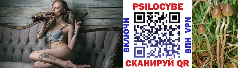 Псилоцибиновые грибы Psilocybine cubensis  что такое наркотик  Щигры 